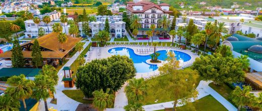 Selectum Colours Side