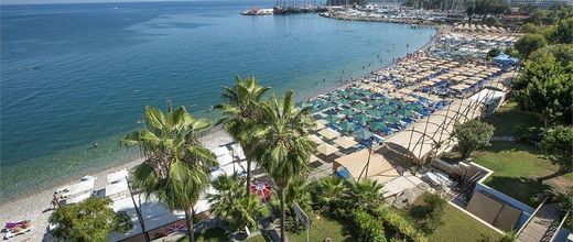Viking Beach (ex. Bonn Beach By RRH&R)