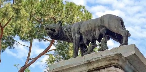 teren hotelu, obiekt