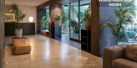 obiekt, recepcja / lobby