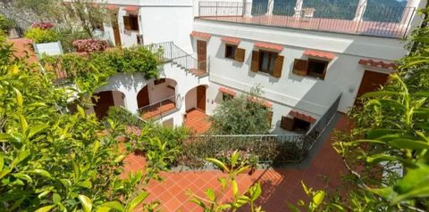 obiekt, teren hotelu