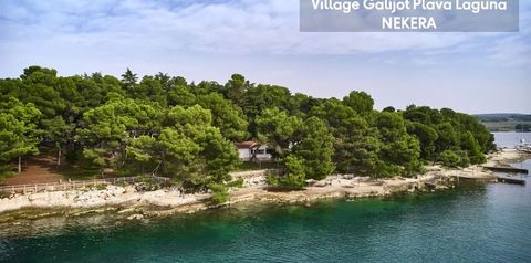 plaża, teren hotelu