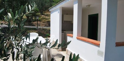 obiekt, kuchnia / aneks kuchenny, balkon / taras