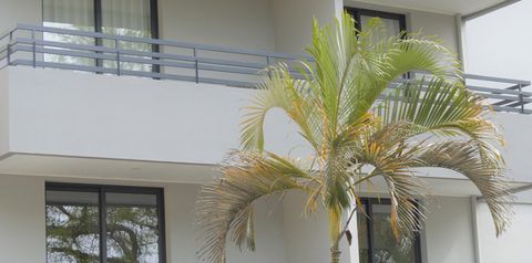 obiekt, budynek główny