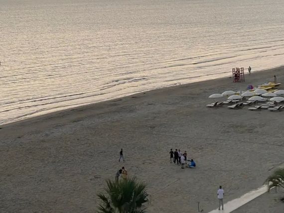 Wave Beachfront Apartments
