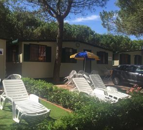 Aranypart Camping