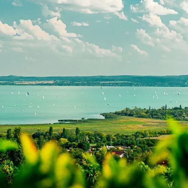 Csopak Resort & Lake