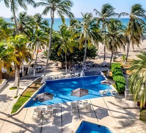Paradise Oasis