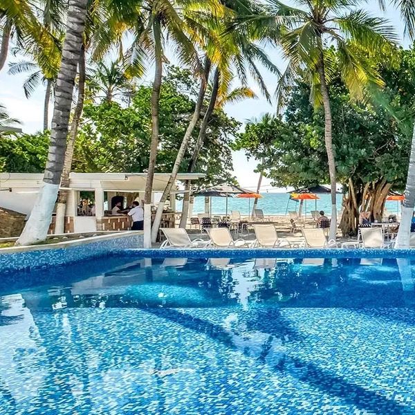 Paradise Oasis