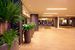 recepcja / lobby