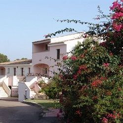 Airone (Baia Sardinia)