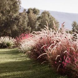 Armacera Resort