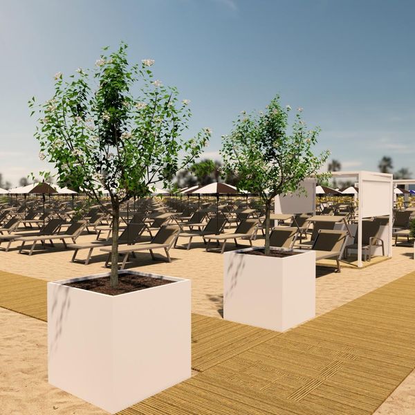 Bellevue (Bibione)