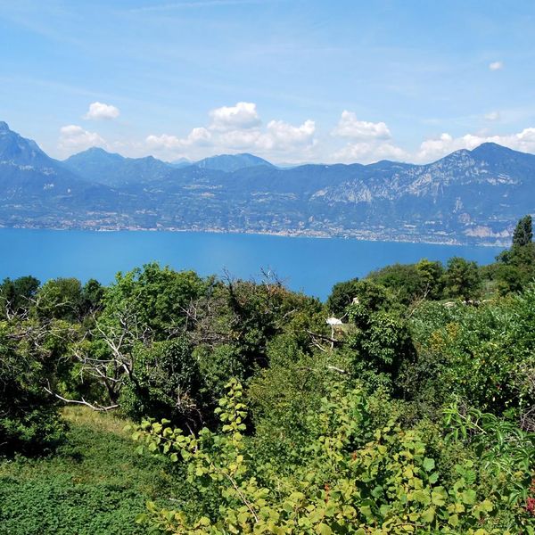 Belvedere (San Zeno Di Montagna)