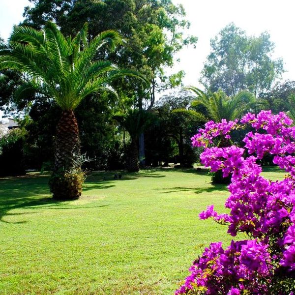 Costa dei Fiori