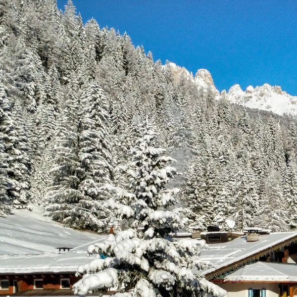 Hotel Des Alpes (Soraga) w Włochy (Trentino) - oferta last minute