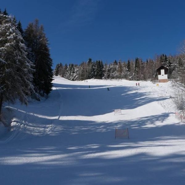 Dolomiti Chalet (Monte Bondone)