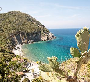 Dom Il Pozzo a Mare