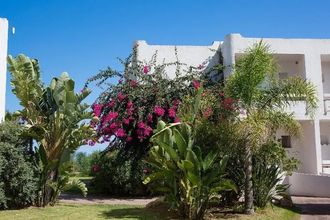 Flamingo Santa Margherita di Pula