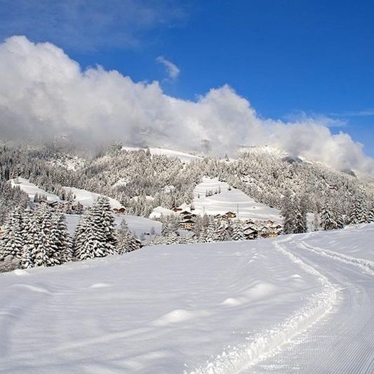 La Molinella