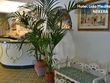 Top Taormina