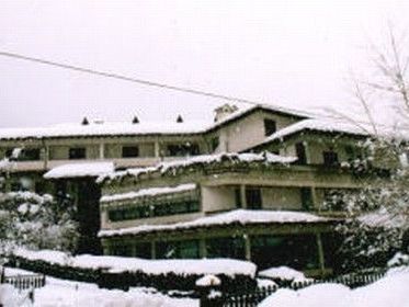 Margherita Montecreto 3*