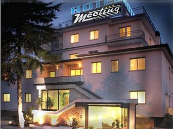 Meeting 3*