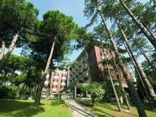 Meridianus 4*