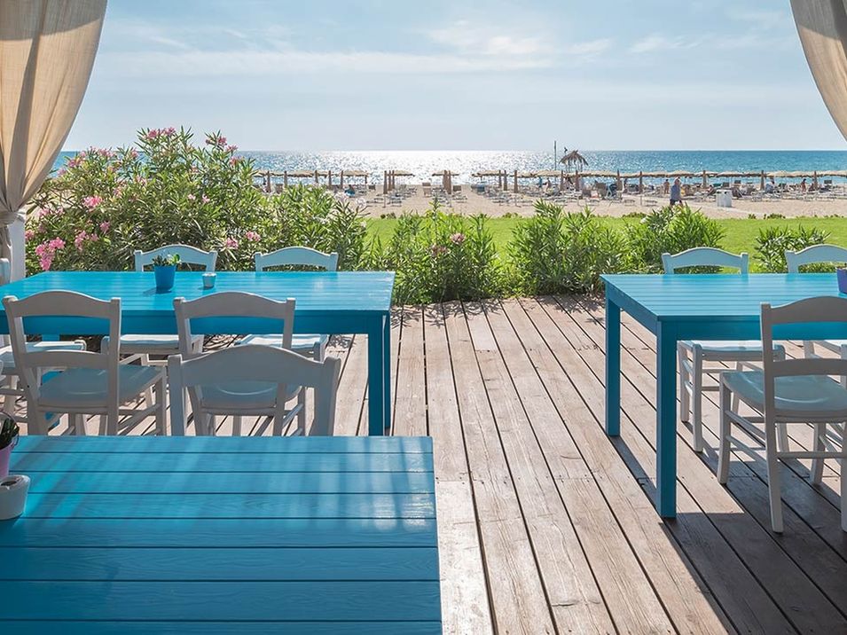 restauracja, beach bar