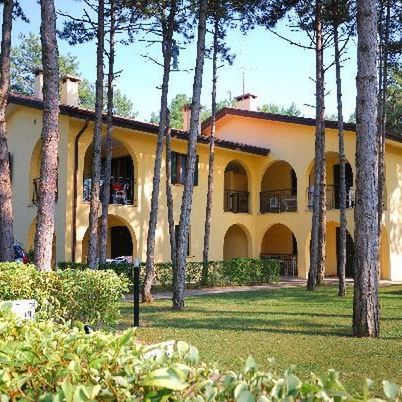 Orchidea (Bibione)