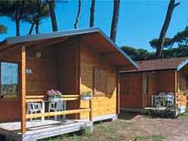 Paradiso (Viareggio)