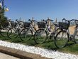 Top Lido di Jesolo