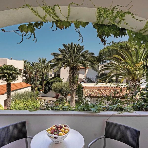 Royal Palm (Forio) - zdjęcie 5