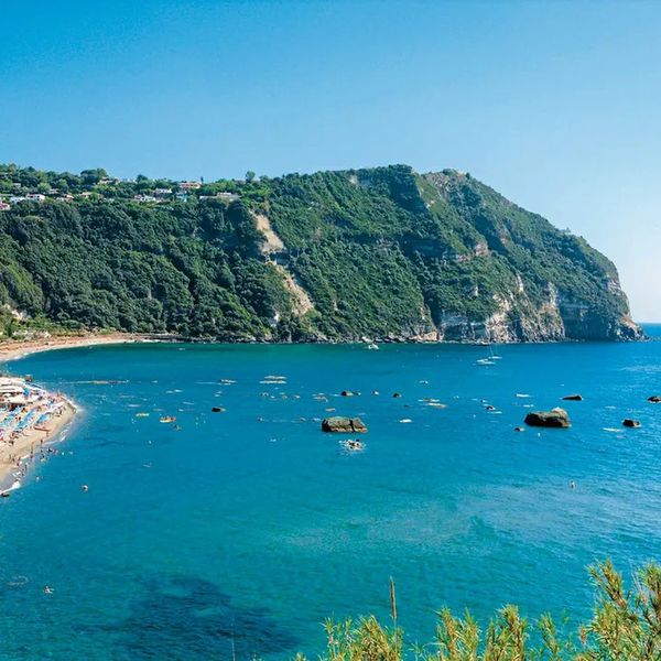 Royal Palm (Forio) - zdjęcie 4