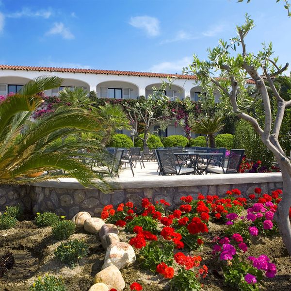 Royal Palm (Forio) - zdjęcie 3