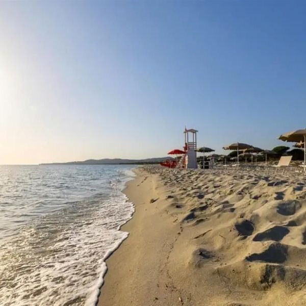 S Arena Beach Oasis