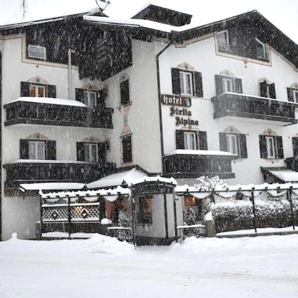 Stella Alpina (Fai Della Paganella)