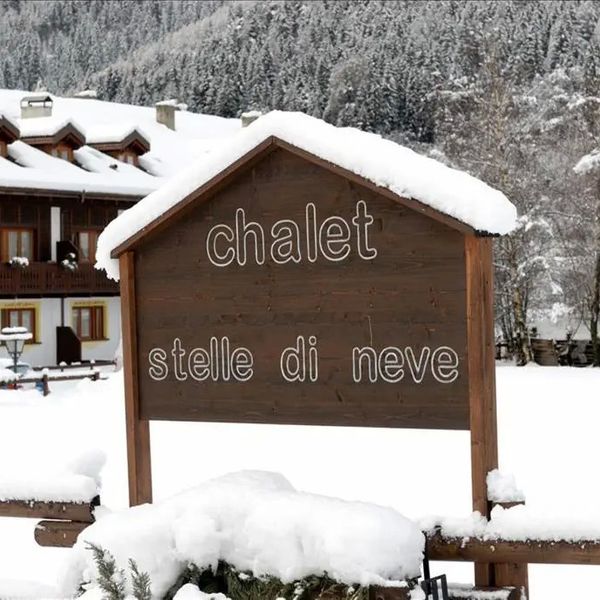 Stelle Di Neve