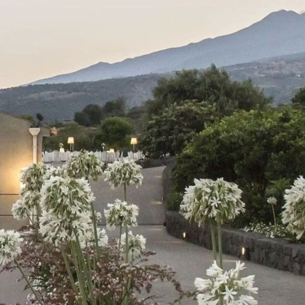 Tale Restaurant & Suite
