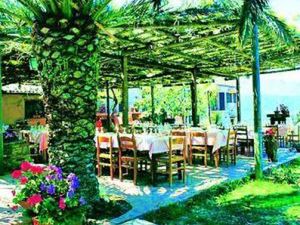 Tenuta Luogomarchese