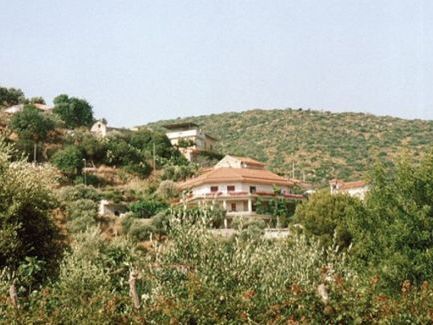 Ulivo