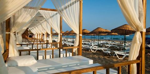 beach bar, plaża