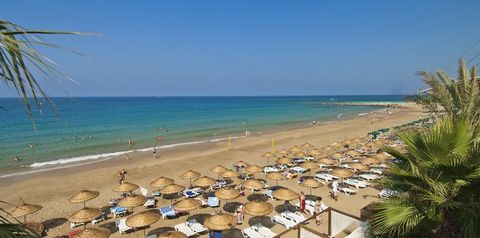 plaża
