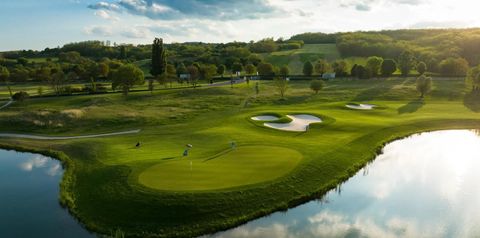pole golfowe