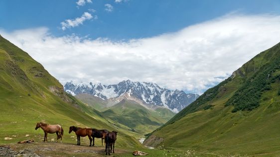 Zdjęcie destynacji Gruzja
