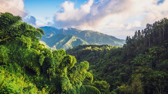 Zdjęcie destynacji Jamajka