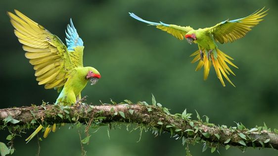 Zdjęcie destynacji Kostaryka