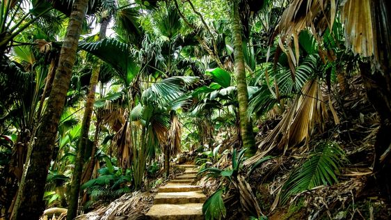 Zdjęcie destynacji Seszele