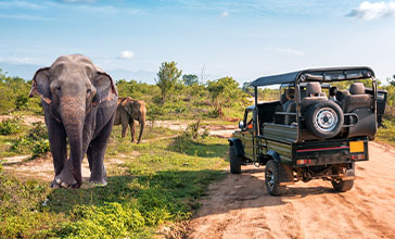 Sri Lanka wycieczki objazdowe