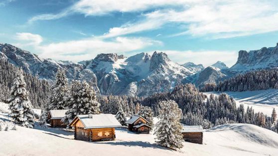promocje biura Snowtrex